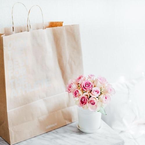 Why It is Essential to Use Paper Bag Instead of Plastic Bags for Good Environment? - True Sun