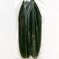 Bamboo Leaf 